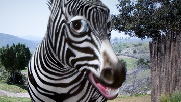 321-0939 Safari Park - Robert the (talking) Zebra